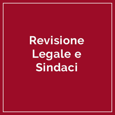 Icona Revisione Legale e Sindaci